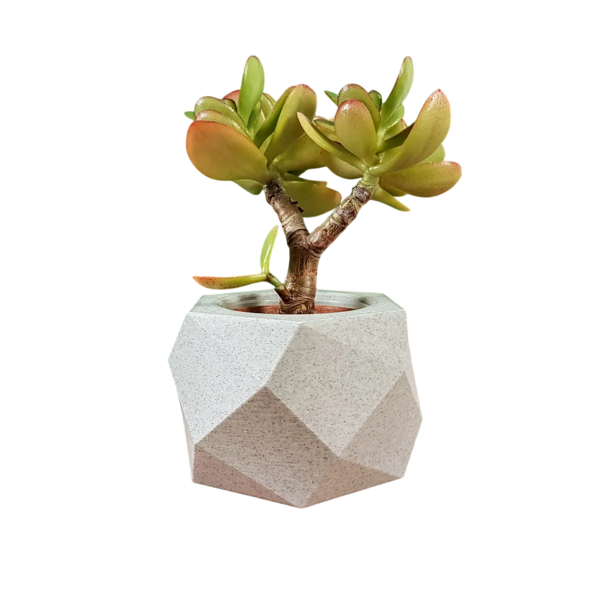 Bloempot Maylo